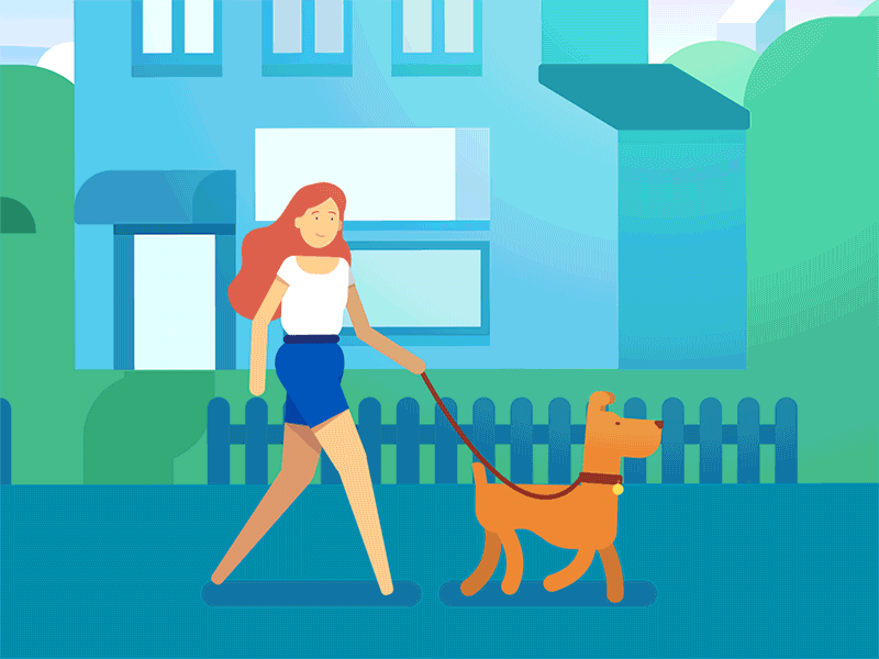 puppies for sale in bangalore,dog breeders in bangalore,puppies for sale near me,best dog breeders in bangalore